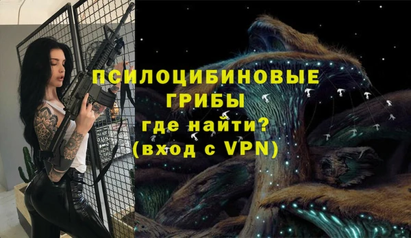 дживик Абинск
