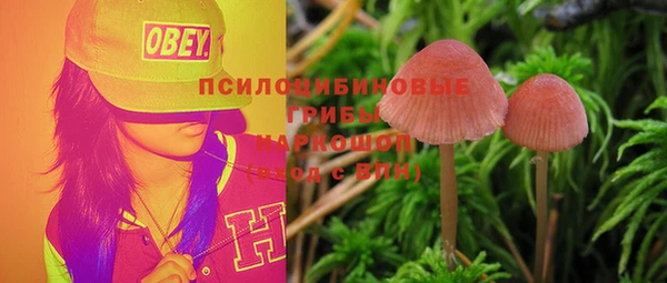 дживик Абинск