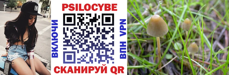 Галлюциногенные грибы Psilocybine cubensis  где продают наркотики  Тарко-Сале 